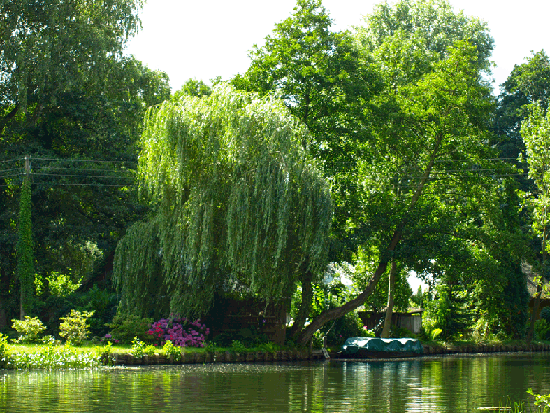 Jahresausflug Cottbus/Spreewald/Berlin 2015